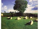 KLF Chill Out Vinyl LP Original Ambient Electronica JAMS LP5 UK Communications