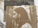 Noah Kahan - Stick Season 2x Chestnut Brown Vinyl LP + SIGNED ART CARD