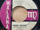 Wayne Anthony Blow Me A Kiss/Go Go Wedding 45 Walana 102 VG Northern Soul
