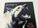Damien Every Dog Has Its Day Lost Realm Vinyl LP 33 RPM REALM049LP