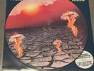 Faith No More,The Real Thing 1990 – LP,Limited Edition Numbered, Picture Disc