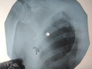 CREAM WHITE ROOM X-Ray USSR Record Roentgen Bone Ribs Music Vinyl