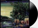 Fleetwood Mac Tango in the night LP Album Vinyl record 2017 Remastered reissue