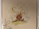 AUTOGRAPHED Isaiah Rashad – The House Is Burning LP Official TDE Vinyl Record