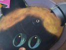 Kitty Kraft - Alright/Trax Cat  Shaped pic disc  Single Vertigo New