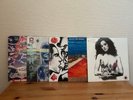 Red Hot Chili Peppers 5-Disc Vinyl Record Set Used