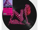 Madonna Confessions II Picture Disc LP Grindr Limited Edition