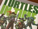 Mondo Teenage Mutant Ninja Turtles Turtles in Time LP not moonshake