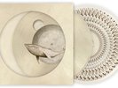 Gojira - (PRESALE 8/14/26) From Mars to Sirius (LMTD GATEFOLD PICTURE VINYL 2xLP