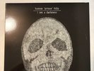 Bonnie Prince Billy I See A Darkness LP Vinyl 1999 Palace Records / Royal Stable