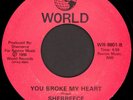 SHERREECE You Broke My Heart / Hot 45 World Rare Unknown 1988 Modern Soul