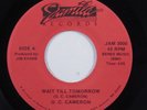 Modern Soul 45 G.C. CAMERON Wait Till Tomorrow JAMILA NM HEAR p