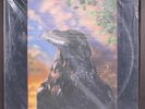 STRANGLERS: the raven UA 12
