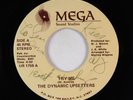 Modern Soul 45 - Dynamic Upsetters - Try Me/Make Myself Clear - Mega - VG+ rare