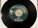 Rare ROD KEITH 45 “Sandy/ We Need Money “ Preview 1334 Excellent Folk Song Poem