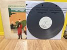 Brian Eno Another Green World Test Pressing 1982 Reissue Vinyl Record LP Roxy