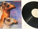 LP The Roches We Three Kings UK FIRST EDT. 1990 COVER:  Very Good+ VINYL: Mint