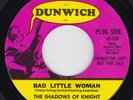 Garage--The Shadows Of Knight ‎– Bad Little Woman / Gospel Zone  PROMO - HEAR
