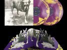 Alice In Chains Self-Titled 30th Anniversary Box Set Dog / Tripod Vinyl/Cassette