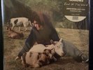 Searows – End Of The World - Swamp Green Vinyl