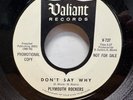 Garage Fuzz - PLYMOUTH ROCKERS - Don't Say Why - UNPLAYED 45 - VALIANT DJ -NM