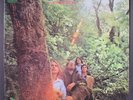 DOUGLAS FIR: hard heartsingin' QUAD 12