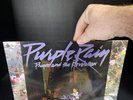 Prince And The Revolution 