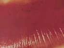 The Cure Kiss Me Kiss Me Kiss Me 2xLP 12in Vinyl Fiction FIXH 13 FIRST PRESS