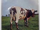 PINK FLOYD ATOM HEART MOTHER EMI EMS80320 1LP