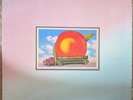 The Allman Brothers 'Eat A Peach'  Vinyl 2 x LPs Gatefold, MINT 1972, 2CP 0102