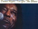 Buddy Guy - Damn Right, I've Got The Blues (180 Gram Vinyl) [Import] - BLUES *SE