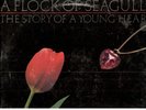 A Flock Of Seagulls   LP      NM        