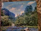 Wandering In The Woods LP 1979 by Mark And Bonnie Branciaroli ,Studio Records