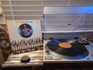 GRAIL Rodriguez Cold Fact 1970 US First Press Sussex SXBS 7000 SONIC STERLING NM
