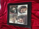 the Beatles Let It Be Box Set - ONLY THE RECORD AND OUTER BOX SLEEVE - vinyl
