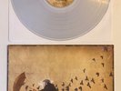 RADICAL FACE Ghost CLEAR VINYL LP 2012 Ben Cooper M-/M- With Insert RARE