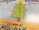 Sufjan Stevens - Songs For Christmas - Boxed Set 5xVINYL (USED Like New)