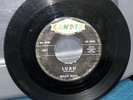 BEACH BOYS 45 Surfin / Luau Candix 331 •• NO Era / NO Producer •• TRUE 1st Press