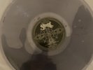Ghost - Skeleta Oxidized Metallic Silver Edition Liquid-Filled Vinyl *Mint*
