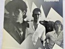 THE FLESHTONES 
