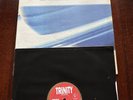Reserved for Zoe D X2 - 12 Vinyl Records / Source Direct / Trinity