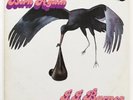 J.J. Barnes BORN AGAIN Patrick Adams produced soul on Perception RARE & GREAT LP