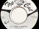 The Tropic Shadows IF I WERE A ROOSTER  Top Cat Reggae 45