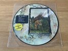 Led Zeppelin IV Picture Disc Vinyl LP
