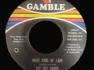 DEE DEE SHARP What kind of lady  NORTHERN SOUL 45 Rare CLEAN