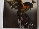 BUDGIE in For The Kill 1974 RARE 1st UK Press   Mca Records Excellent Condition