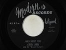 Elmore James Wild About You