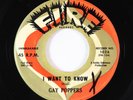 R&B Soul Popcorn 45 - Gay Poppers - I Want To Know - Fire