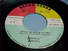 APOLLO'S APACHE'S -