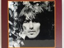 GEORGE HARRISON The Vinyl Collection 2017 18 Disc (14 Album) LP Box Set BEATLES